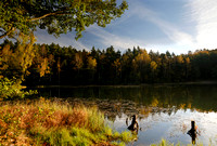 Jezioro Dobre jesień
