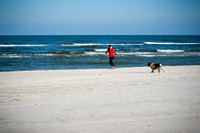 Sesja zdjęciowa z psem na plaży w Dębkach
