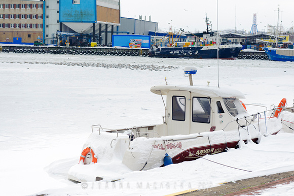 Zimowe zdjęcia z Władysławowa port rybacki