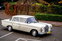 31DSC_1895